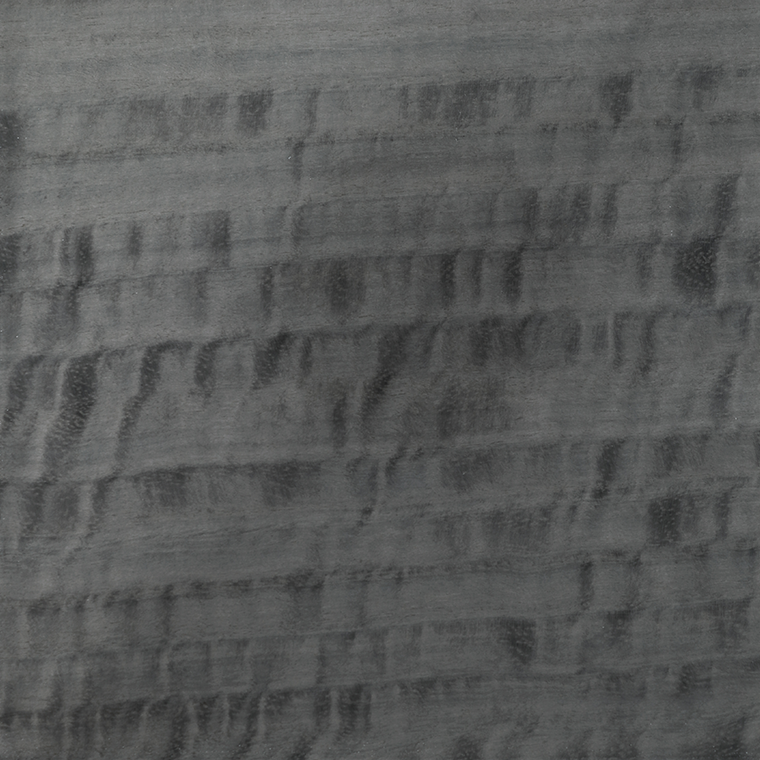 Eucalipto Frise Grey